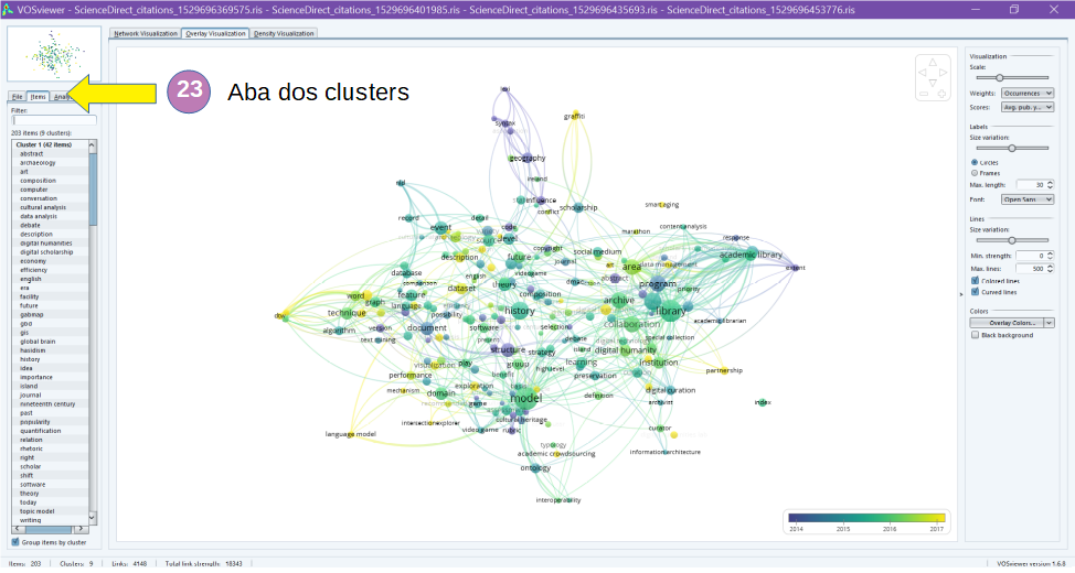 VOSviewer Figura 21.png